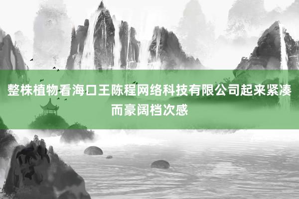整株植物看海口王陈程网络科技有限公司起来紧凑而豪阔档次感